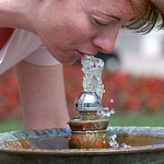 Water fountain