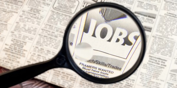 job-resume-infographic