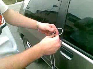 shoelace