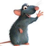 rodents